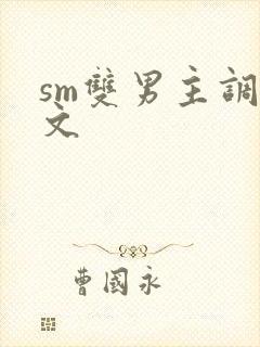 sm双男主调教文