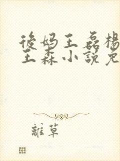 后妈王磊杨晓芬王森小说免费阅读封面