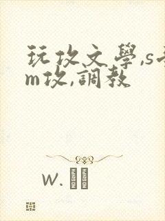 玩攻文学,s受m攻,调教封面