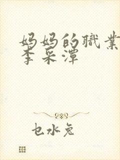 妈妈的职业韩国李采潭封面