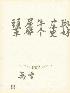 头层牛皮与牛皮革哪个更好封面