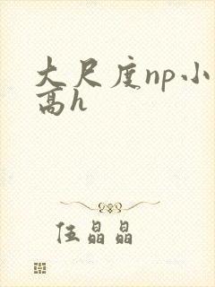 大尺度np小说高h