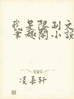我是限制文的女笔趣阁小说