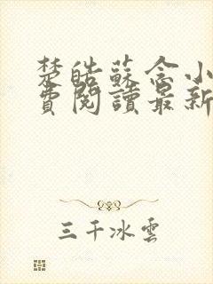 楚皓苏念小说免费阅读最新章节