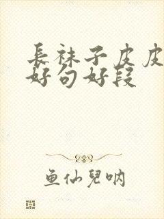 长袜子皮皮好词好句好段