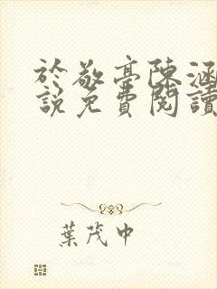 于敬亭陈涵穗小说免费阅读完整版