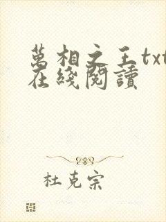万相之王txt在线阅读