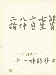 二八十七解字谜指什么生肖