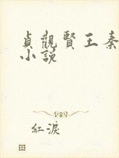 贞观贤王秦怀道小说