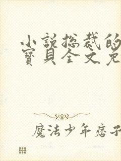 小说总裁的私有宝贝全文免费阅读封面