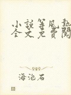 小说等风热吻你全文免费阅读封面