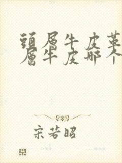 头层牛皮革和头层牛皮哪个好