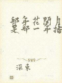 那年花开月正圆是哪一年播出的