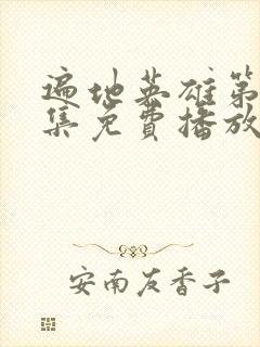 遍地英雄第40集免费播放电视剧