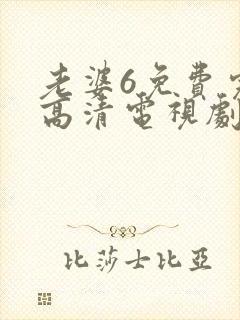 老婆6免费完整高清电视剧