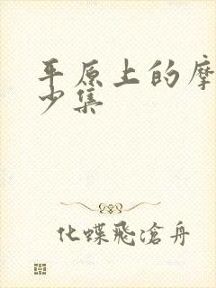 平原上的摩西多少集