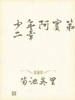 少年阿宾第四十二章封面