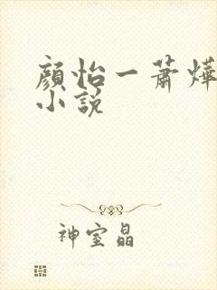 颜怡一萧烨阳的小说