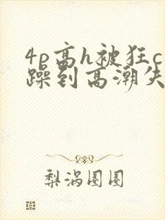 4p高h被狂c躁到高潮失禁网址