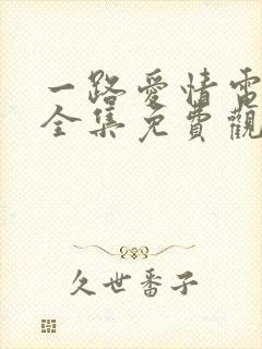 一路爱情电视剧全集免费观看高清封面