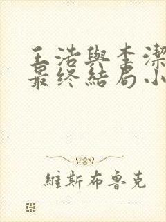 王浩与李洁赘婿最终结局小说全文免费