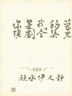 你是我的荣耀电视剧全集免费西瓜