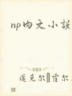 np肉文小说
