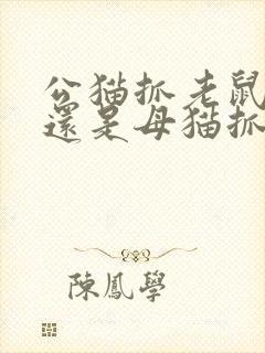 公猫抓老鼠厉害还是母猫抓老鼠厉害