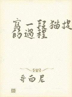 写一段猫捉老鼠的过程