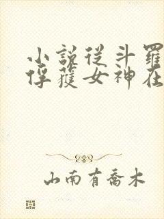 小说从斗罗开始俘获女神在线阅读全文