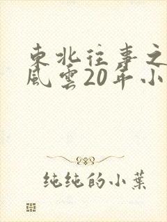 东北往事之黑道风云20年小说
