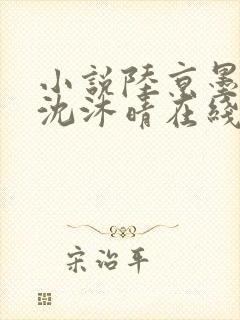 小说陆京墨沈意沈沐晴在线阅读