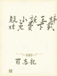 朕小说王梓钧txt免费下载封面