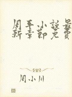 周平小说最新更新章节免费阅读
