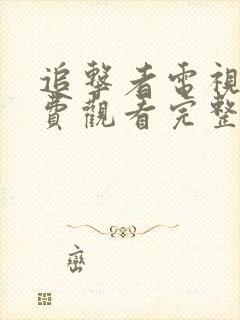 追击者电视剧免费观看完整版高清封面