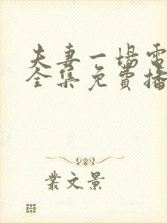 夫妻一场电视剧全集免费播放封面