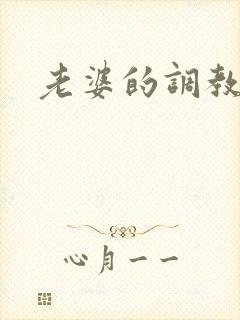 老婆的调教小说