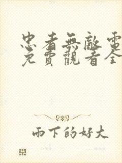 忠者无敌电视剧免费观看全集封面