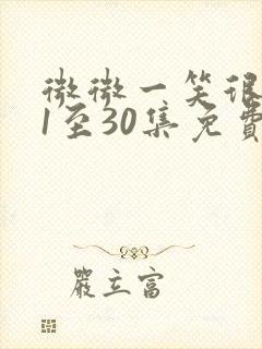 微微一笑很倾城1至30集免费看