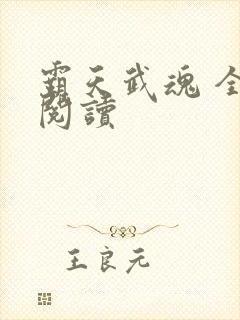 霸天武魂 全文阅读