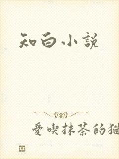 知白小说