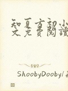 知夏方初小说全文免费阅读最新章节