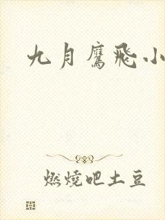 九月鹰飞小说