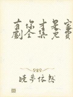 有你才是家电视剧全集免费观看高清封面