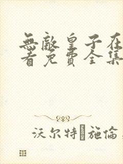 无敌皇子在线观看免费全集电视剧封面