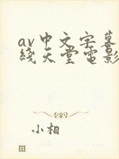 av中文字幕在线天堂电影网