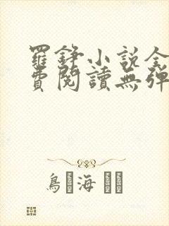 罗铮小说全文免费阅读无弹窗封面