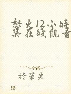 怒火12小时全集在线观看完整版免费