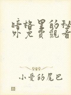 暗格里的秘密番外免费观看电视剧