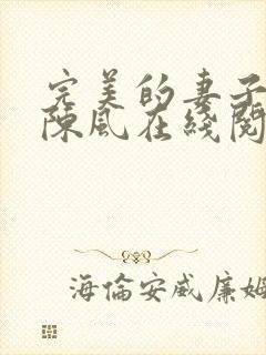 完美的妻子小说陈风在线阅读